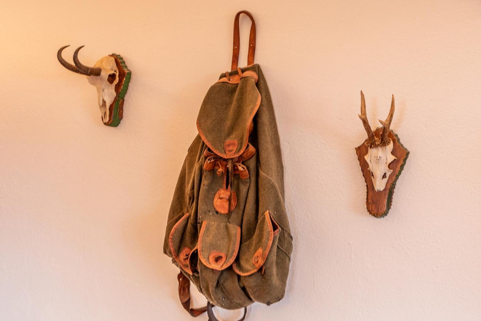 Appartements Kirchenwirt 티롤 키르흐베르크 외부 사진